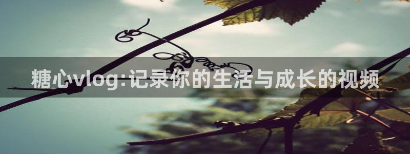 糖心vlog阿乐：糖心vlog:记录你的生活与成长的视频