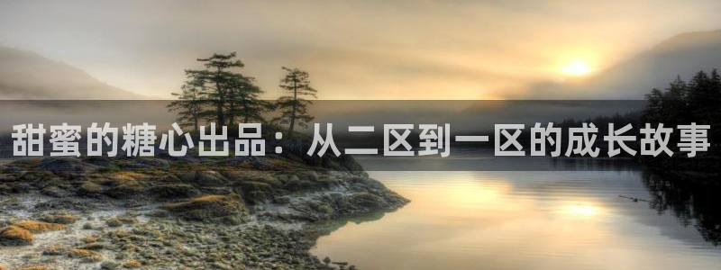糖心饼干vlog:甜蜜的糖心出品:从二区到一区的成长故事