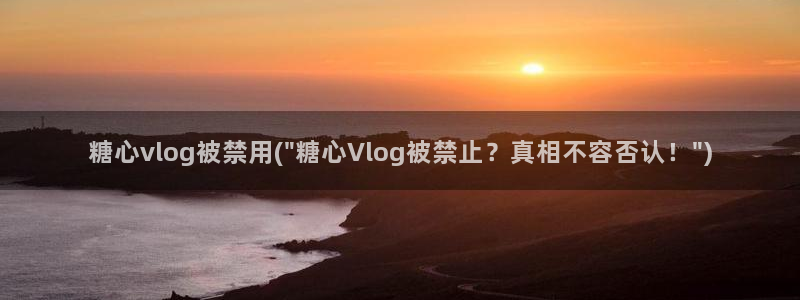 糖心姐姐的vlog：糖心vlog被禁用(