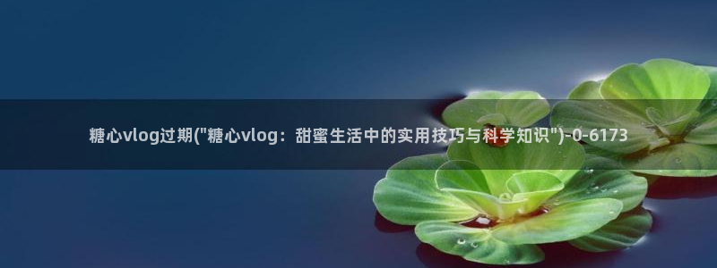糖心vlog污下载：糖心vlog过期(\