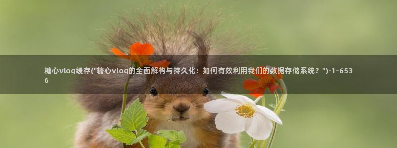 糖心vlog安装不了：糖心vlog缓存(