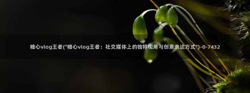 正能量糖心vlog：糖心vlog王者(\