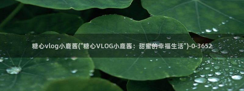 台湾精品糖心vlog：糖心vlog小鹿酱(\