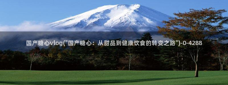 心糖vlog完整版免费观看